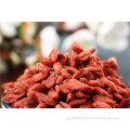 New crop certified organic dried goji berry